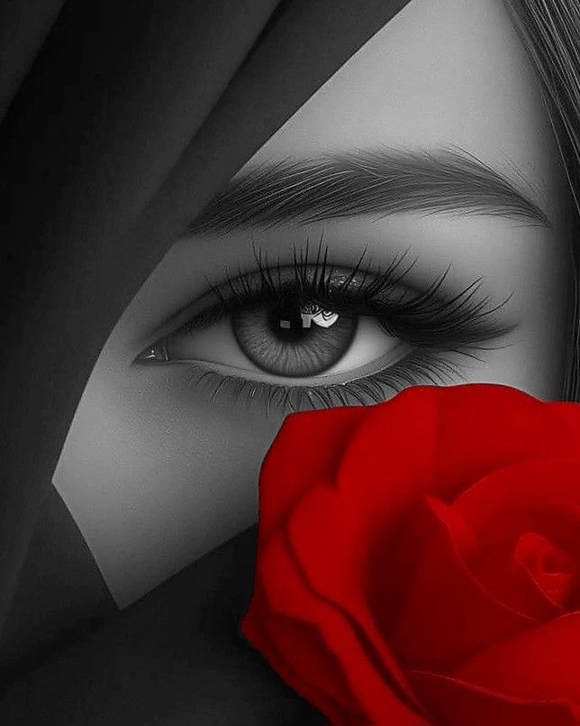 من يتقن إحتواء الرُوح يبقى في الرُوح دائمًا🤍

#صباح_الخير ♥️