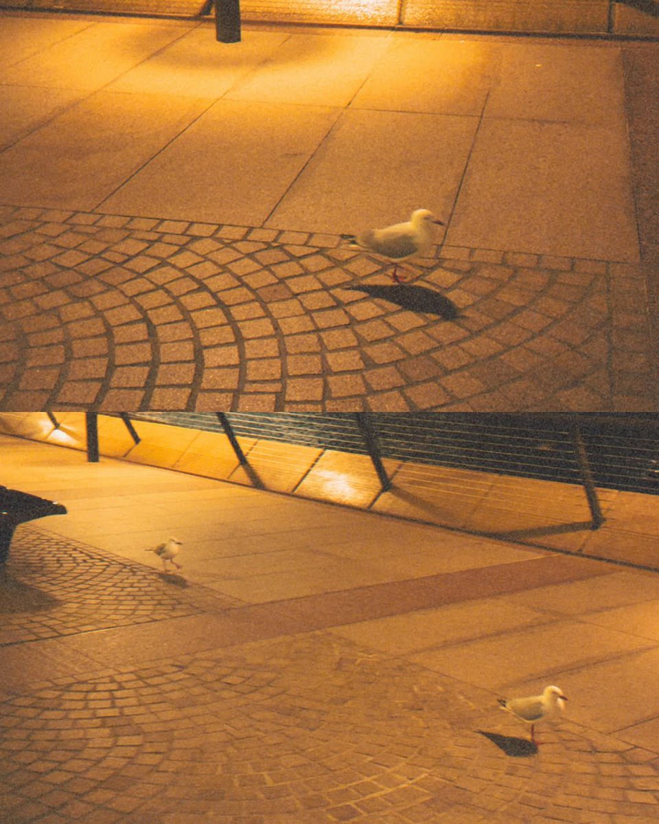 {  jayun has sent you some peek throughout her trip  !  }  …  🥢  getting a little lost on the world ‘fun’   :  𖣠  i’m taking advantage out of my free days to stroll around emerald city that will bring me joy.  🌿🐨  in the shape of pictures, can you taste my happiness?  ☆