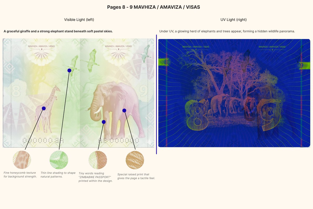 harveylb_'s tweet image. Been buried in Zimbabwe’s digital identity for months.
At this point, I could probably give a six-hour lecture on the tech behind it.But honestly? What I keep coming back to is the beauty  the art of it.What’s visible, and what only reveals itself under UV light.@DeepDiveDataZW