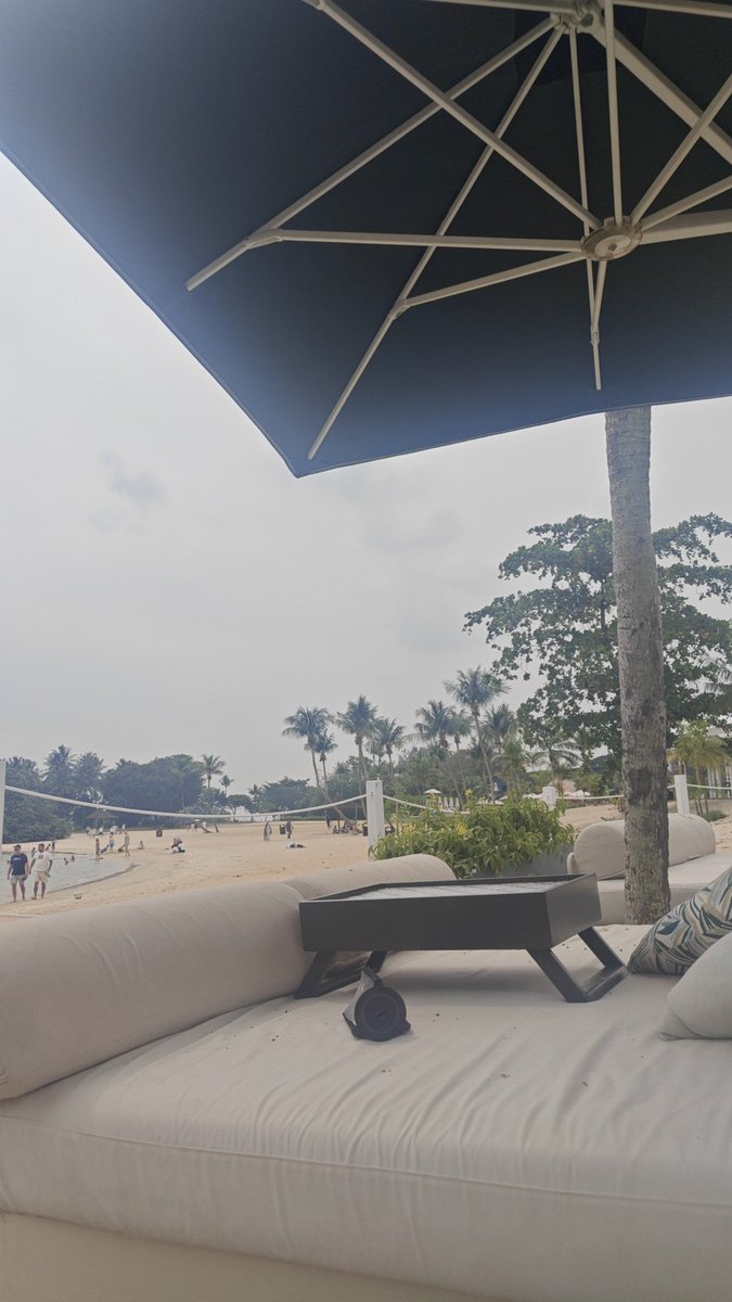 Jordan Mauro tweet media