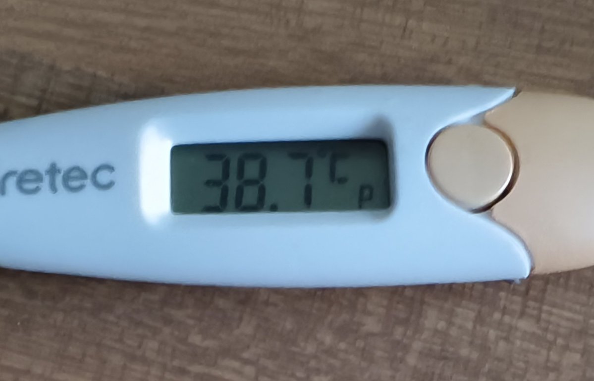 totemo_groovy's tweet image. 