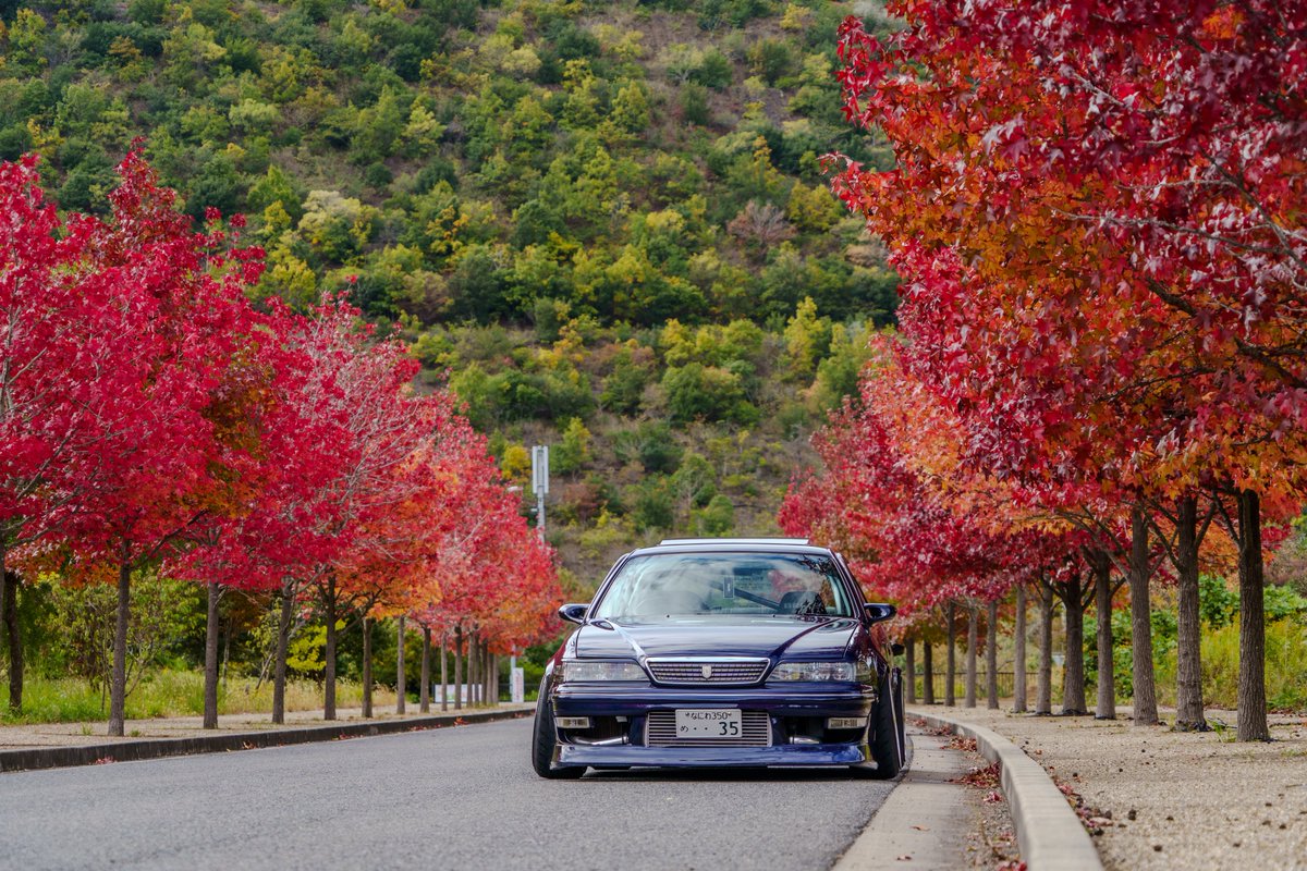 tomo.THREE S@DSR (@ThreesTomo) / Posts / X