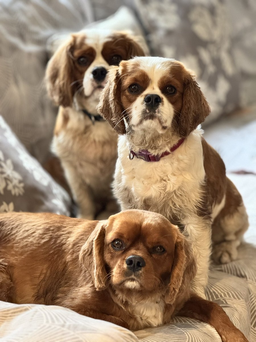 Hey pals 💙🧡🩷 autumn love and hugs to you all 🍂🍁🍃