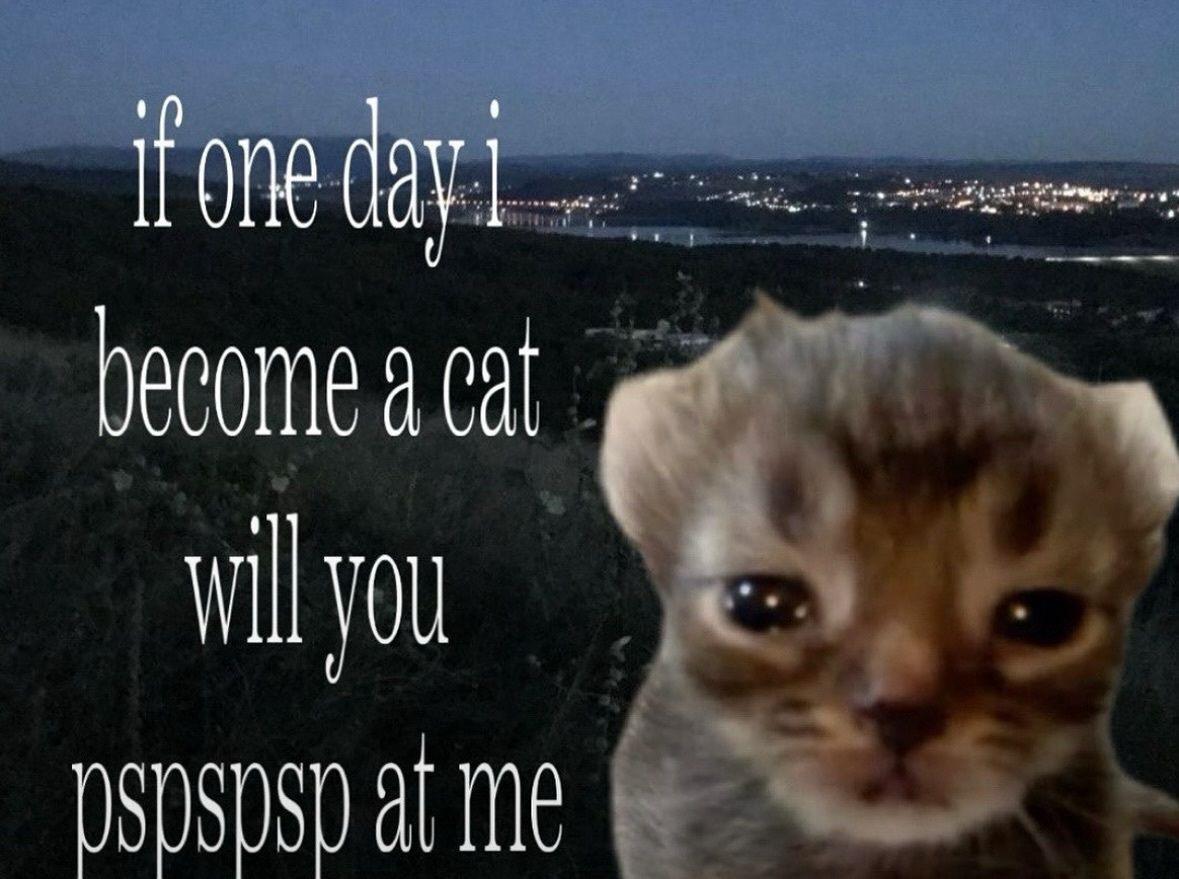 YJ (@yjwavy) on Twitter photo 