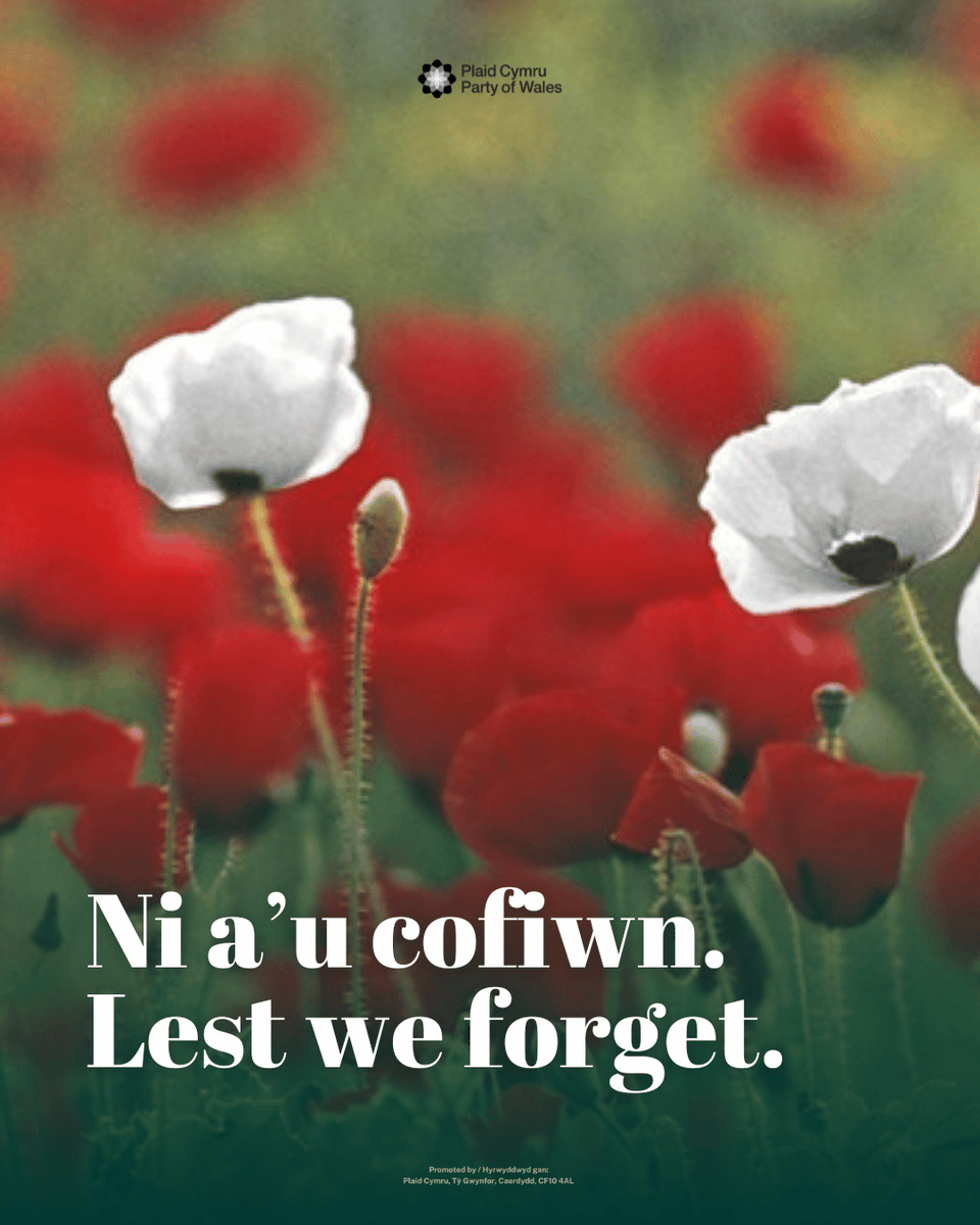 Today, on Armistice Day, as we remember the lives lost to war and conflict, we strive for a peaceful future for all.

Heddiw, ar Ddiwrnod y Cadoediad, wrth i ni gofio pawb a gollwyd i ryfel a gwrthdaro, gweithiwn tuag at ddyfodol heddychlon i bawb.

🕊️