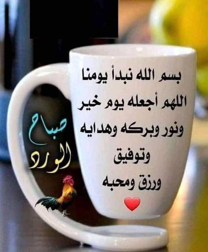 🏹🇦🇹 Gehan tweet media