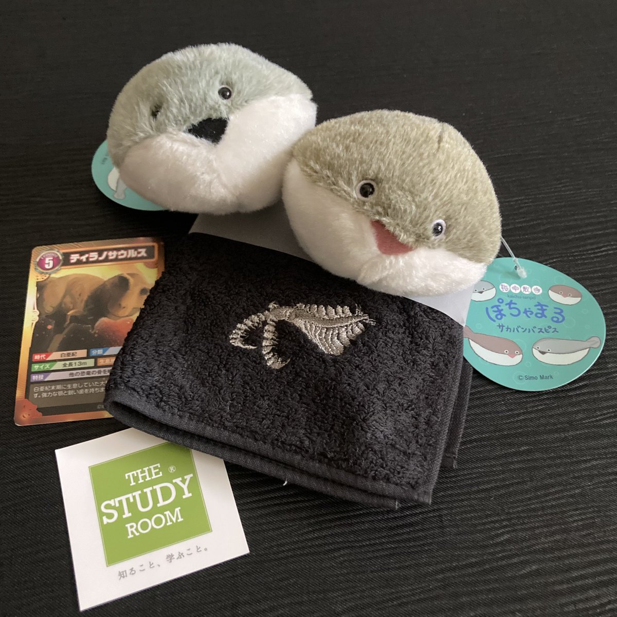 上京時可能な限り寄るザ・スタディルーム<a href="/THESTUDYROOMuen/">THE STUDY ROOM エキュート上野店</a>さん
間に合ったぁ #サカバンバスピス 
吟味するには残り僅かだったけど目があった子をお迎え
最愛の #アノマロカリス のタオルも
行く予定の大絶滅展のカードは王道ティラノサウルス
トニセンのマロロピロロヨロロとの親和性w
#20thCentury