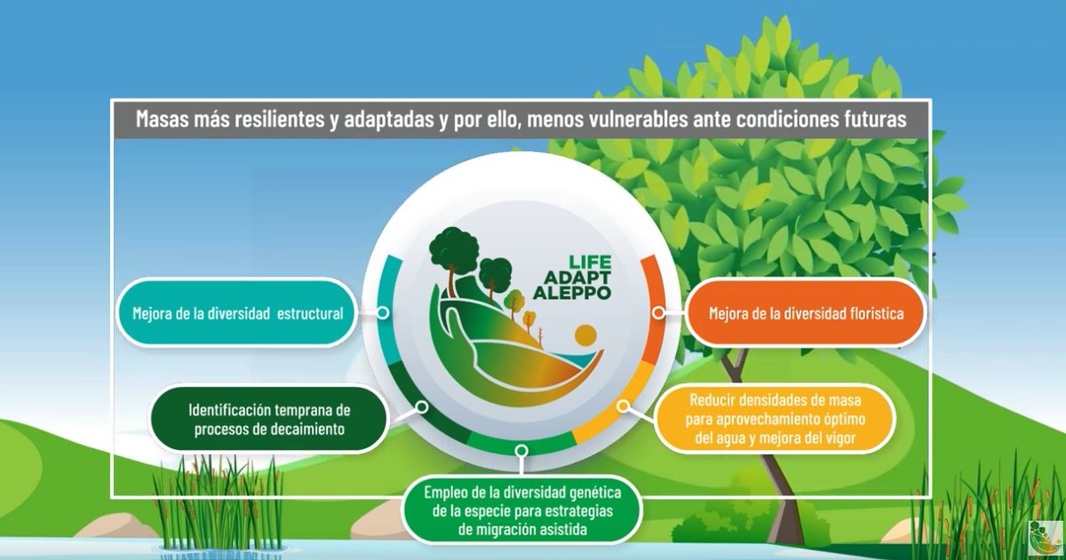 Vemos que el #CambioClimático está presente en nuestros bosques: incendios más intensos, sequías severas y pérdida de biodiversidad. Es vital actuar de forma inminente. 🚨🌿

🧐 Este vídeo lo resume:
🎥 👉 youtu.be/kluj1XF2e6U

#adaptaleppo #adaptación #GestiónForestal