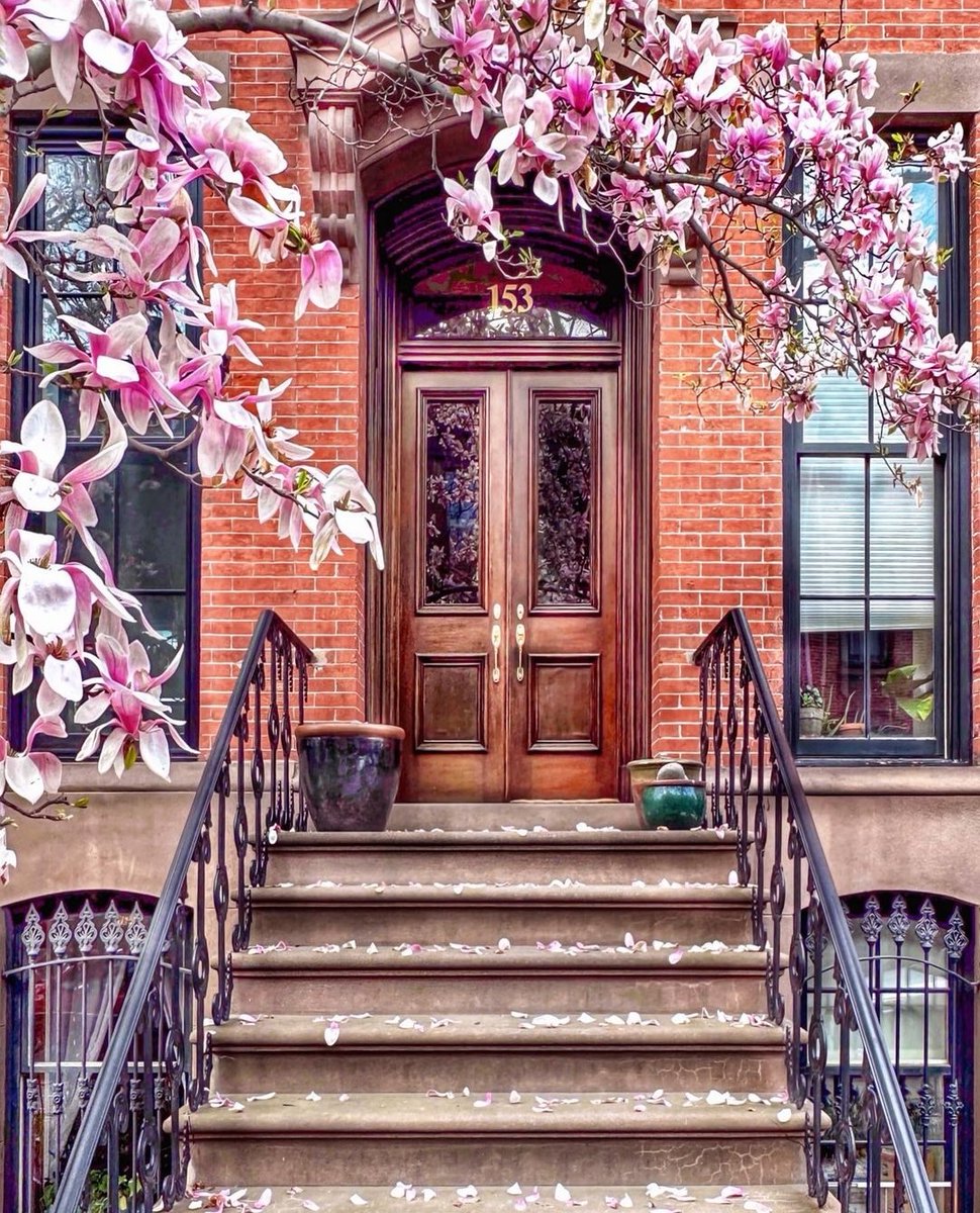 pantelischio's tweet image. Brooklyn, Νέα Υόρκη
#Doorsandwindows