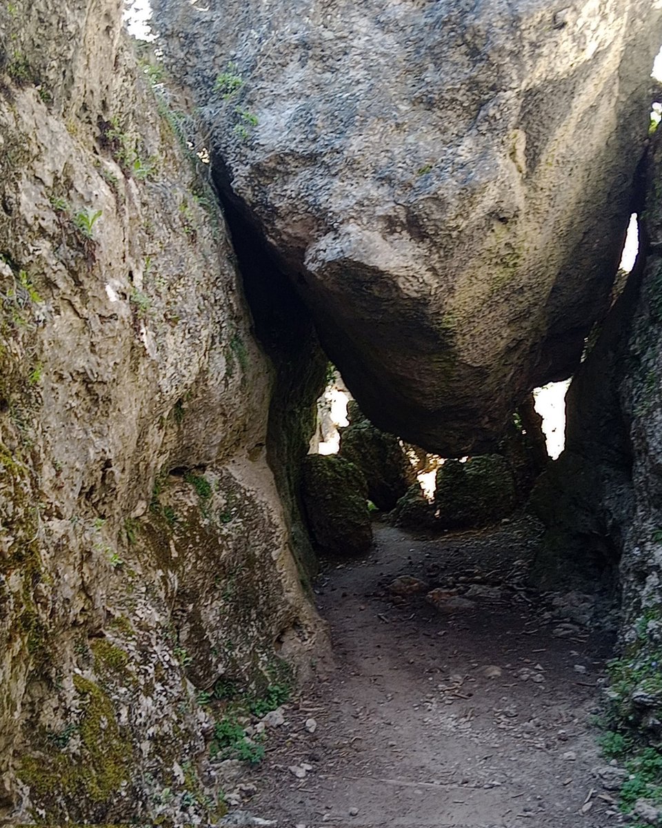 "Penumbra es en la que me escondo, 
un palio que apaga la claridad
que nace de las flores que quedaron
sin crecer en las cunetas de aquellos
caminos que no hollé"

Fernando Alda 

Ínsula Barataria: Con los ojos muy abiertos, 16 insulabaratariaa.blogspot.com/2025/11/con-lo…