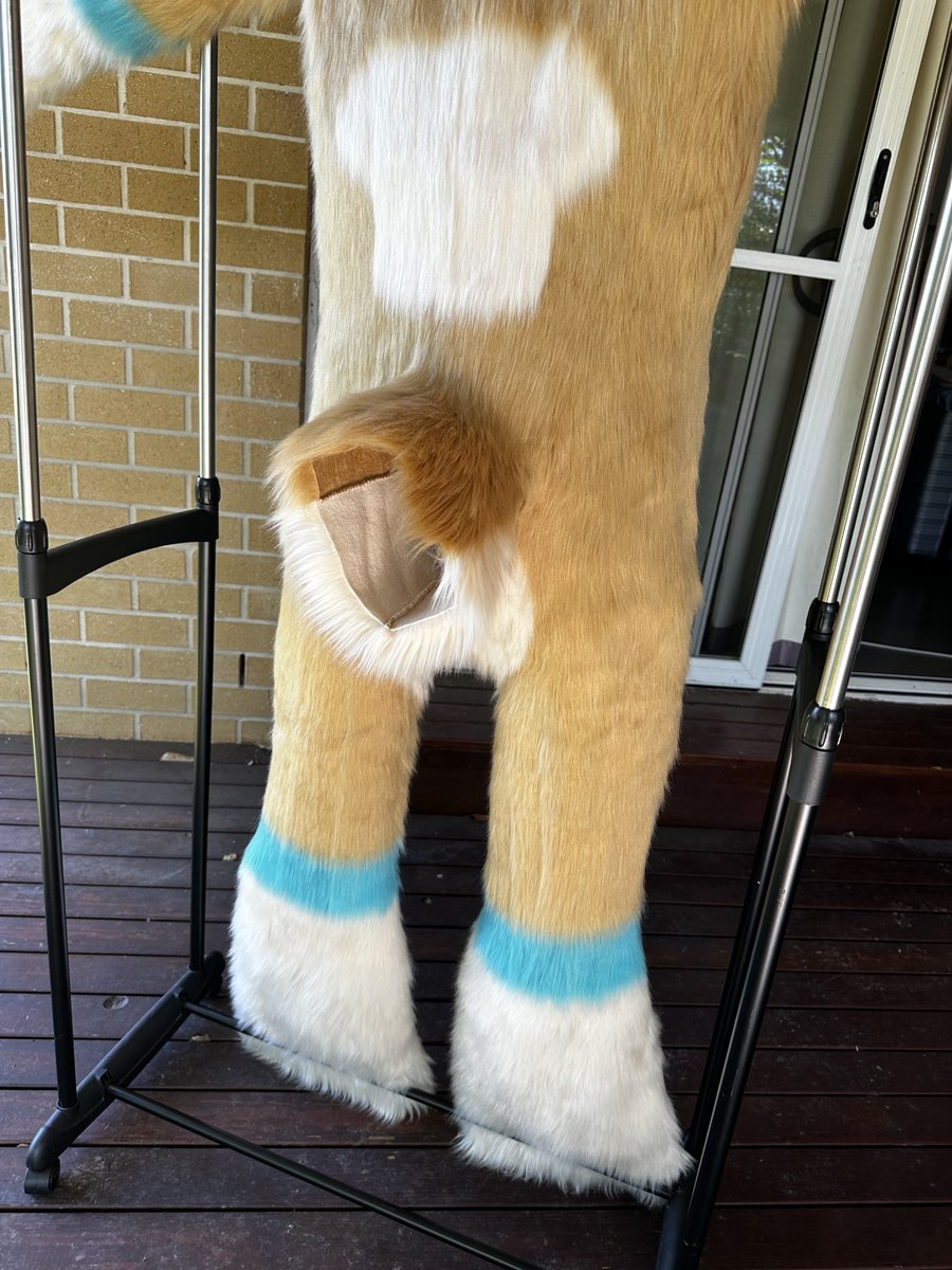 🐾Lucid Paw Creations🐾🇦🇺 tweet media