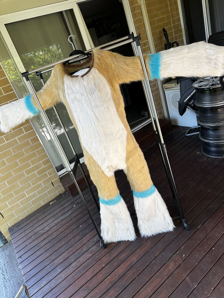 🐾Lucid Paw Creations🐾🇦🇺 tweet media