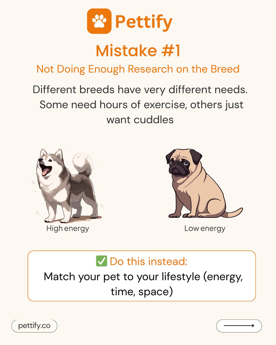 usepettify's tweet photo. We've seen pet owners making these mistakes over and over again, stay informed with Pettify
Don't forget to download Pettify app to shop for your pets and accessories
🧡
#petowner #breeders #petparenting #petparents https://t.co/FXvZjDoSS0