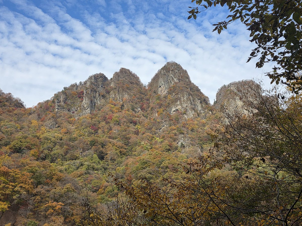 crosstt0905's tweet photo. 妙義山、紅葉見頃 https://t.co/xyX5Pia9zO