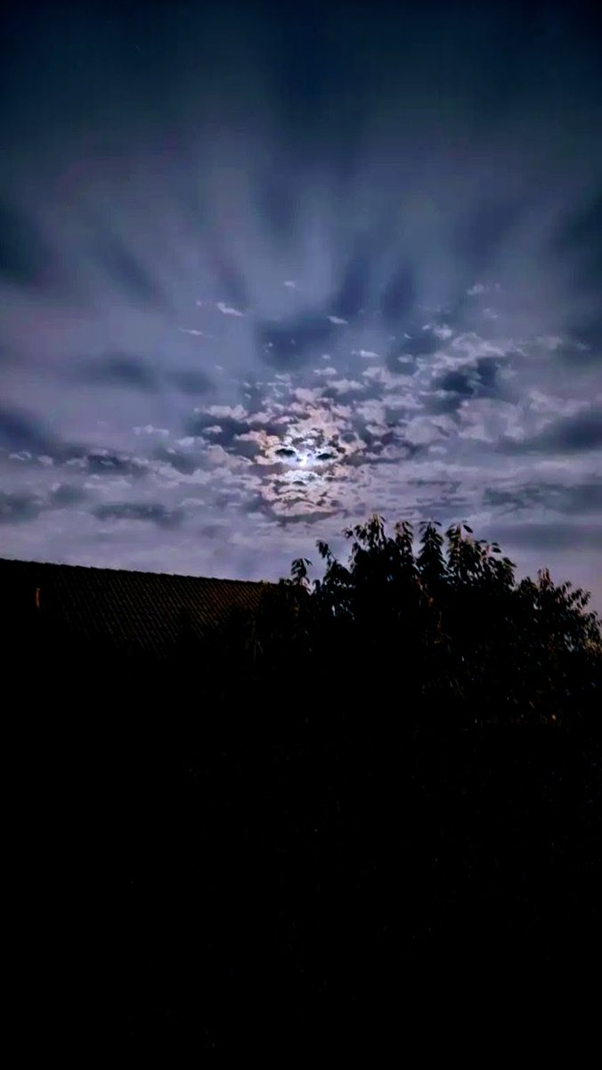 ßlueswërks (@blueswerks) on Twitter photo 