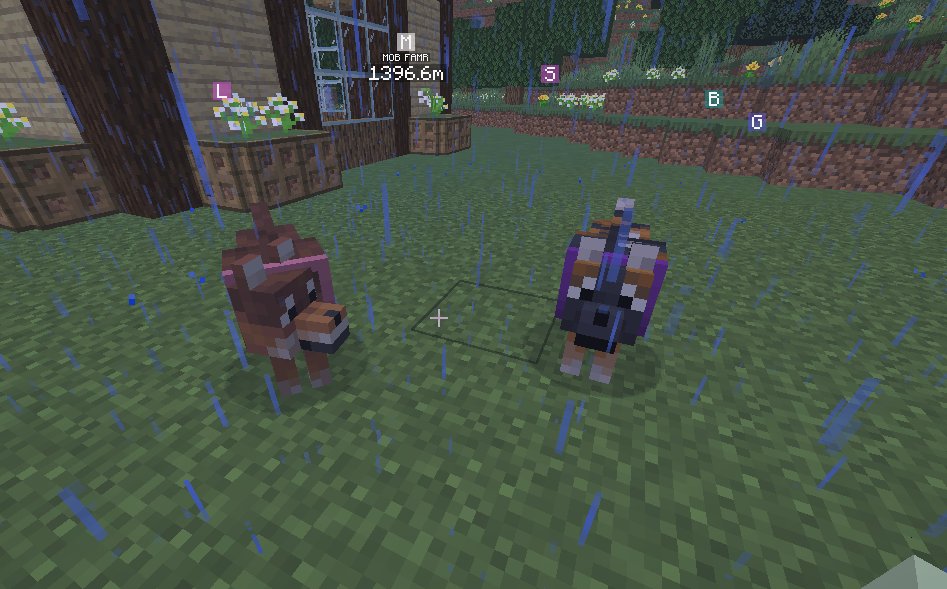 gmailofficial_'s tweet image. highlight of my life