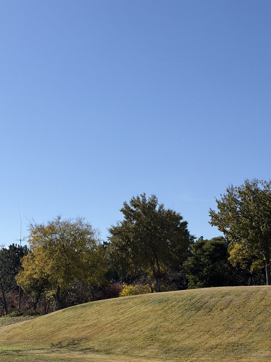 오늘 날씨 참 좋네