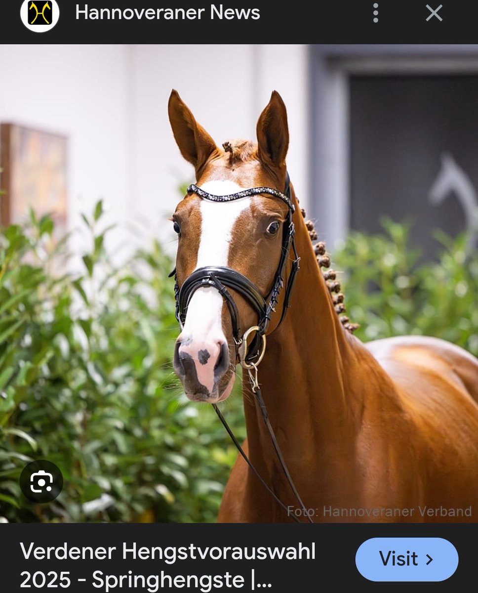 suewritesnow's tweet image. Hi,Fans... This is how far people, will go to &quot;Reinlegen&quot; ... They are part of the 🧩... Just for a #pacemaker or for &quot;Dokumenten #Falschungen&quot;... That is their #lifestyle ... Everyone pays a high price for all this ...