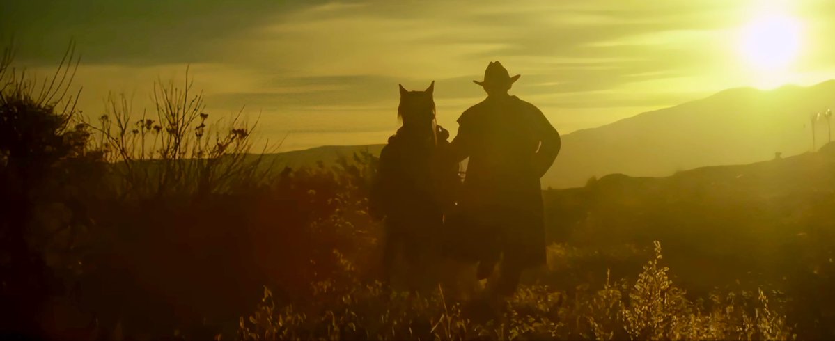 AnnaYaaru_TD's tweet image. 🦁