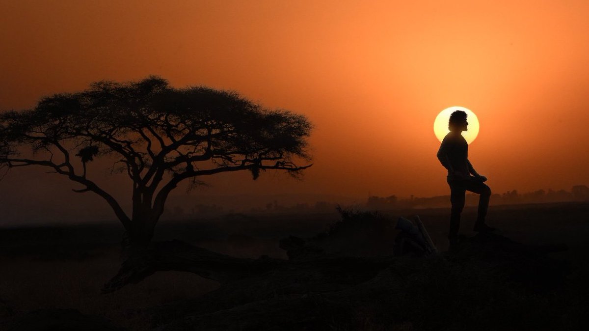 AnnaYaaru_TD's tweet image. 🦁