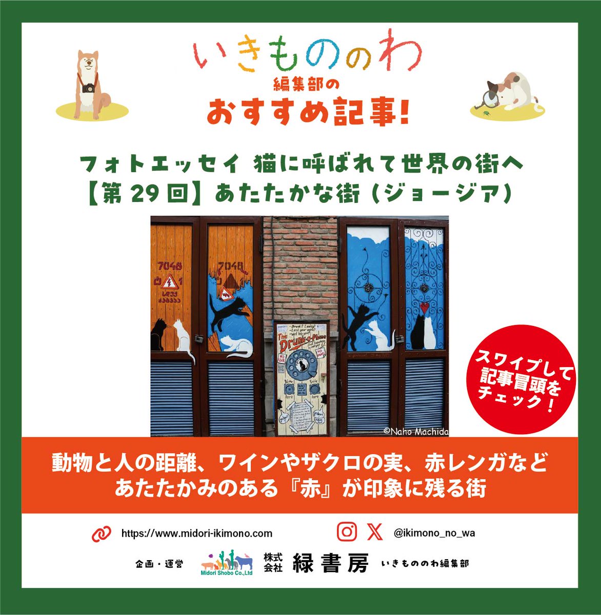 いきもののわ on X