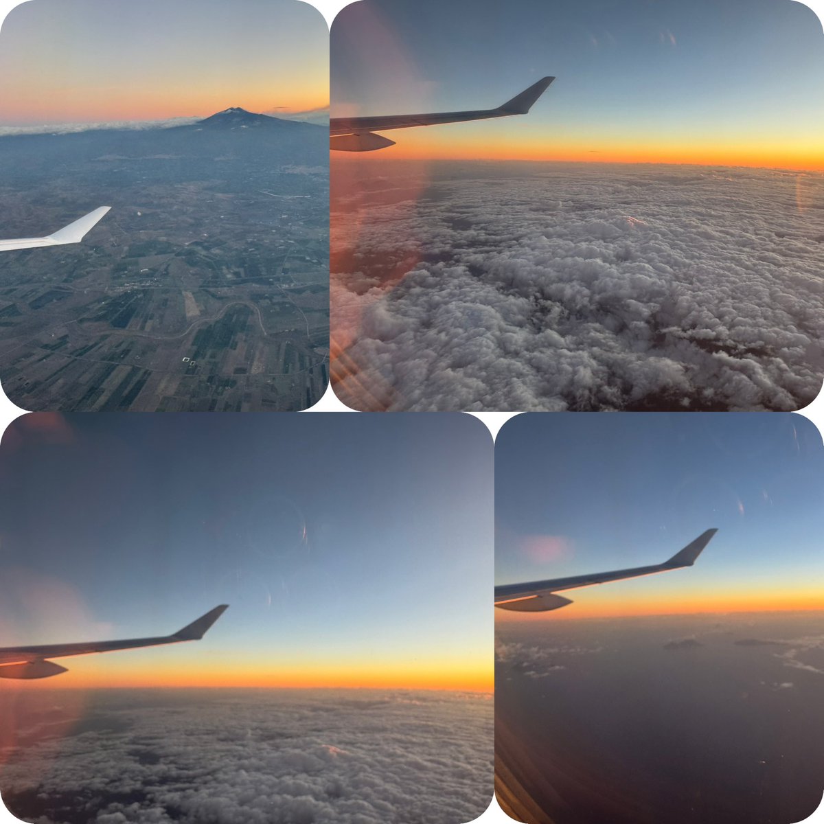 alexfenice's tweet photo. Ehi Luca ne è passato del tempo…
Siam partiti da…
con le luci dell’alba
so che tu ci stai aspettando
mentre noi attraversiamo il mondo…

#LucaCarboni #Milano #RioArio https://t.co/N8SKoxkCbh