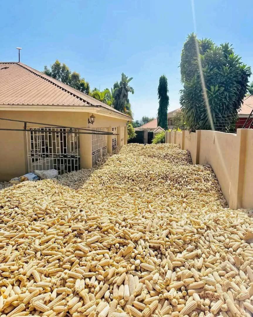 Some people really took farming seriously this season…🥲😂