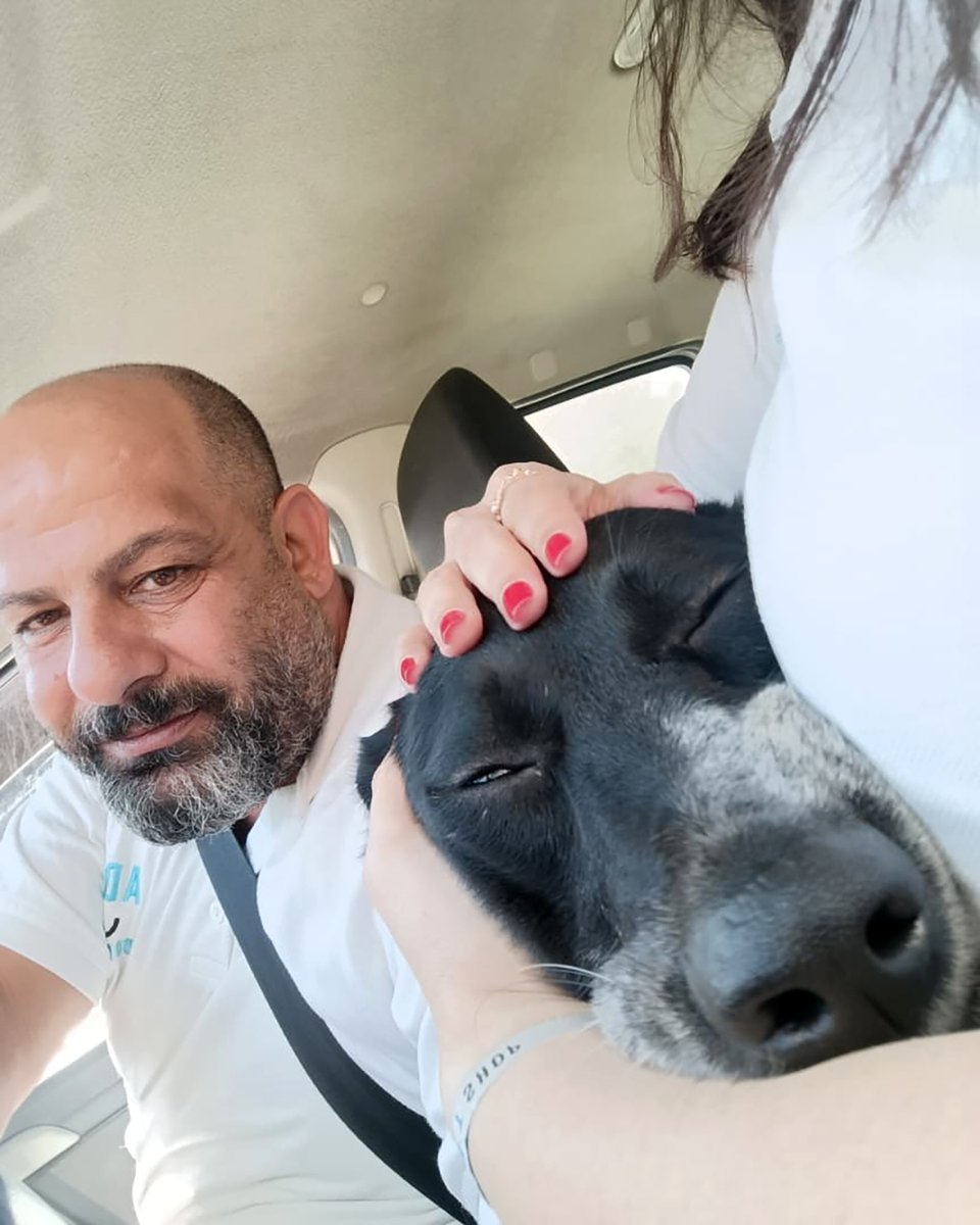 JessicaRahhal's tweet image. Celebrating the men who inspire, protect, and uplift those around them. Happy International Men’s Day!

#internationalmensday #chasingstories #stories