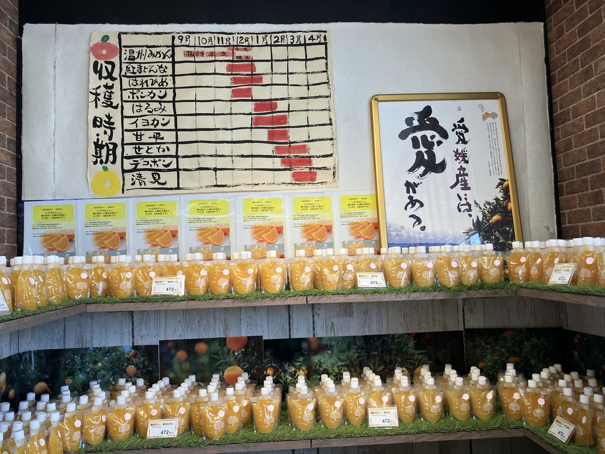 11月からは「みかん」が収穫全盛期🍊🍊
スパウトパウチ入りゼリーで、ぜひ色んな品種を食べ比べてみてください😋🎶
#スパウトパウチ #みかん #カウくんの製品紹介