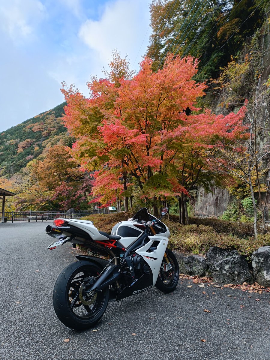 マー坊 マー坊☀🇬🇧🇩🇪🇮🇹 on X