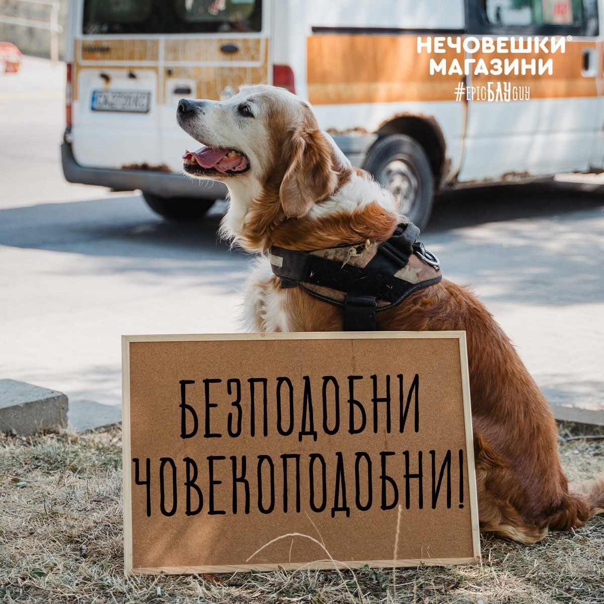 Нечовешки магазин отново в десетката!
Жестокостта не се лекува, а се наказва!

Знаете какво е редно да направим: peticiq.com/503299

Моля да подпишете! Нека има справедливост за Мая🥺
