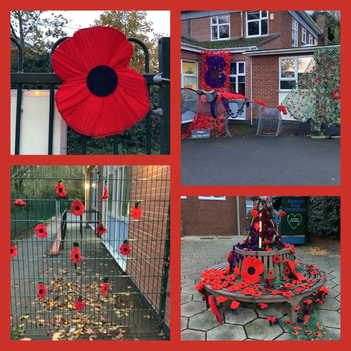 Our Alford Primary School stunning poppy display! Many thanks to our local community and Mr and Mrs Hickinbottom. It looks beautiful! ❤️❤️❤️ #RemembranceDay <a href="/PoppyLegion/">Royal British Legion</a>