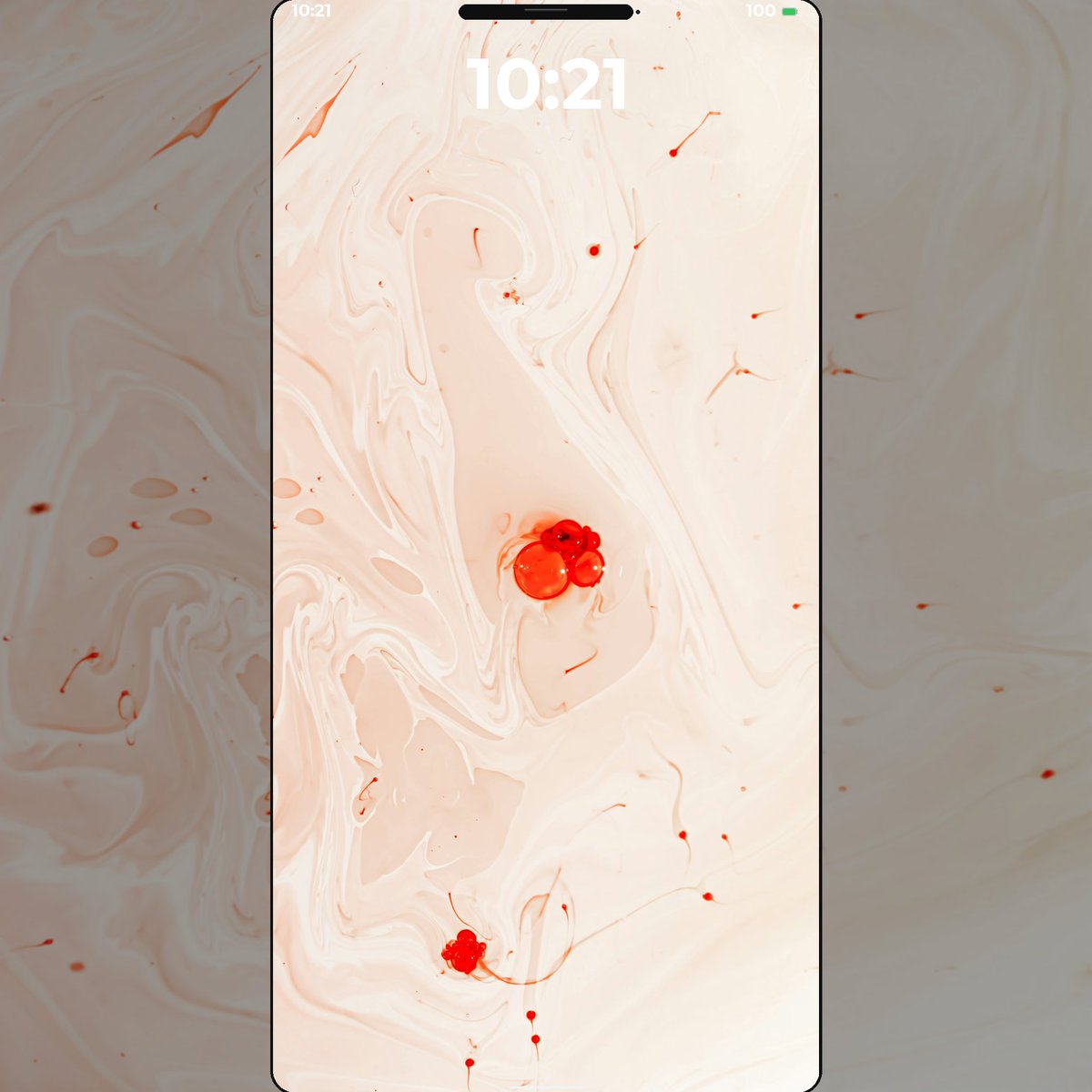 4KWallHQ tweet media