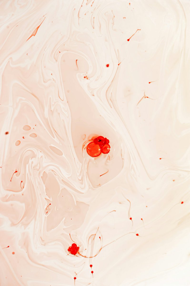 4KWallHQ tweet media