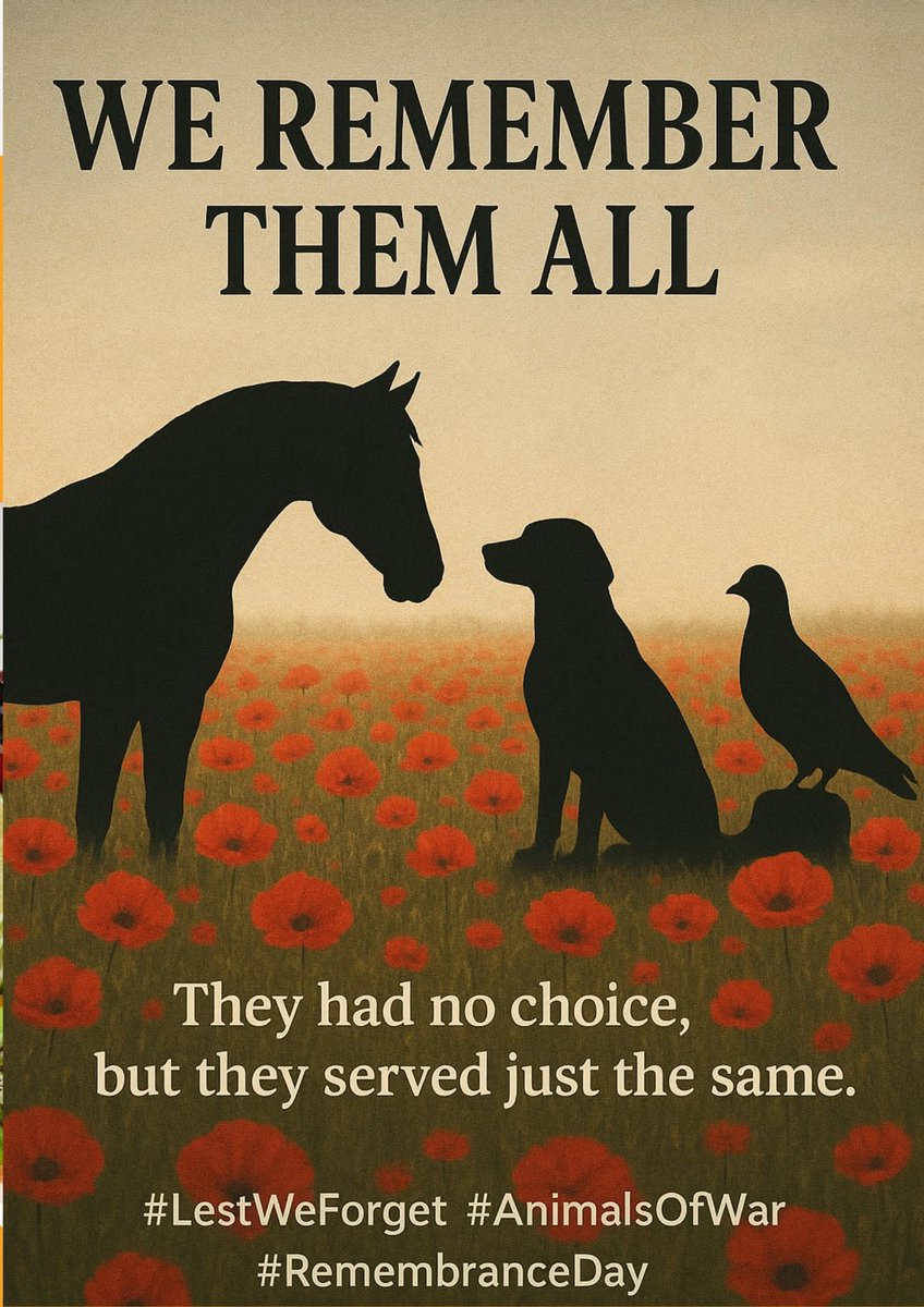 Redgate Farm Animal Sanctuary tweet media