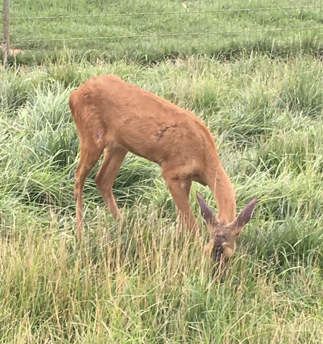 Parayı harcamak için: Boş zamanı olanların parası yok, parası olanların da zamanı yok.
O zaman parası olanlar kendine zaman ayırsın, boş olanlar da harcamak için para kazansın
