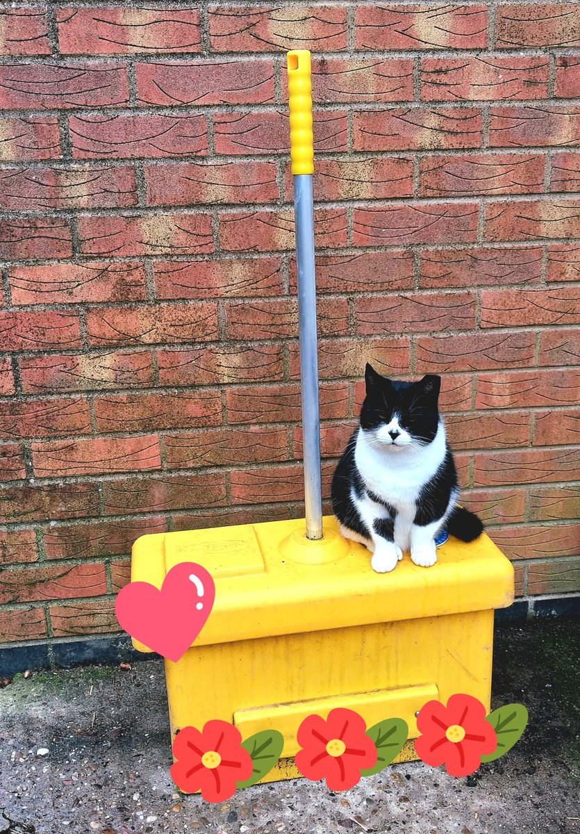 Redgate Farm Animal Sanctuary tweet media