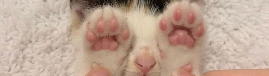 sorrrowfull's tweet image. 