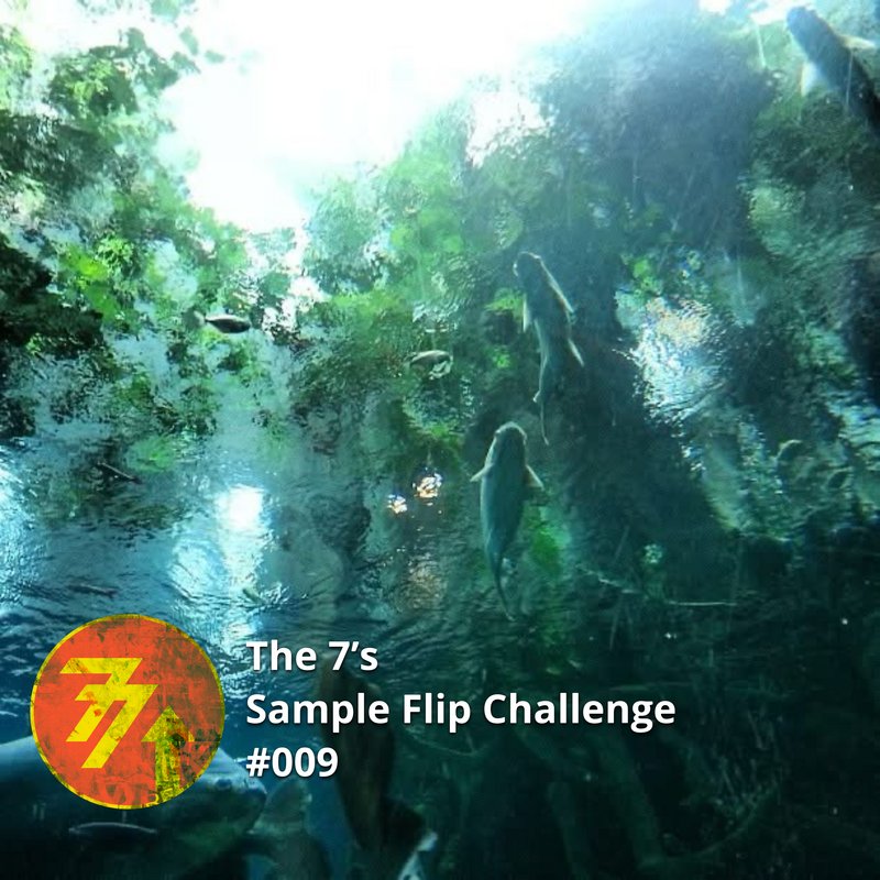 Dusty Ohms tweet media