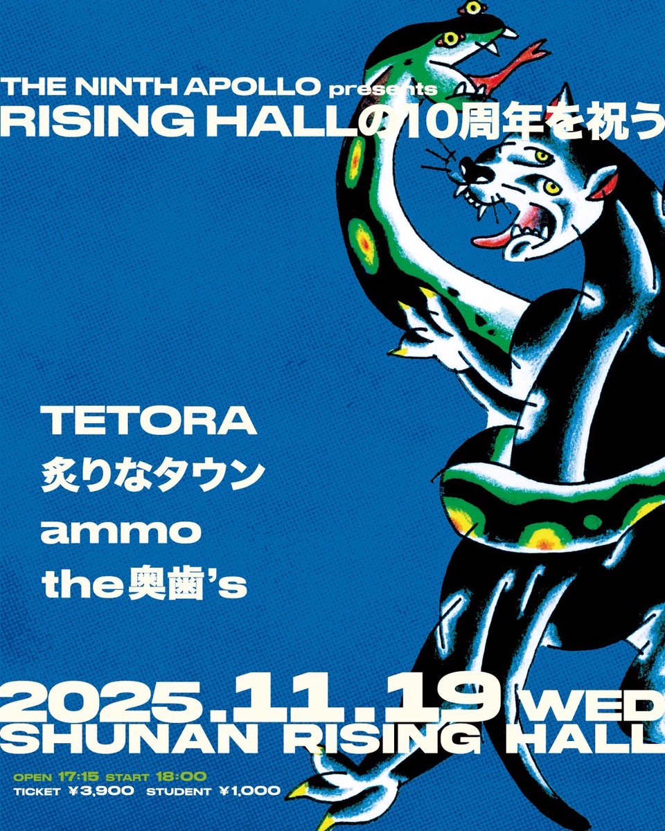 ハルカミライ DVD 廃盤 THE NINTH APOLLO ハルカミライ DVD 廃盤 THE