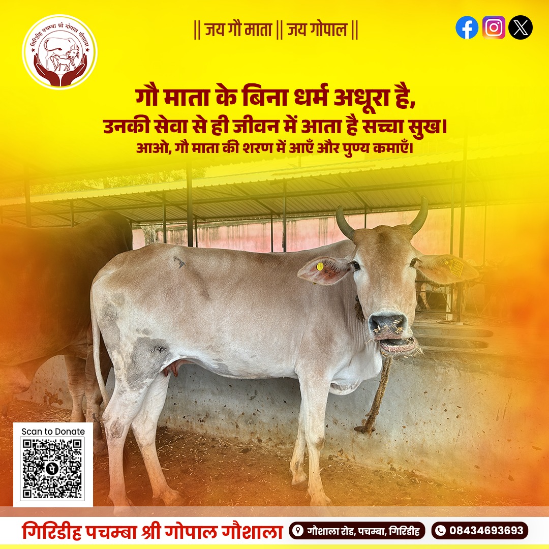 gaushalagrd's tweet photo. गौ माता के चरणों में स्वर्ग बसता है, उनकी सेवा में ही ईश्वर का वास है।
जो गौ माता की रक्षा करता है, वह साक्षात् धर्म की रक्षा करता है।
#JaiGauMata #JaiGopal #GauSeva #SanatanDharma #SpiritualWisdom #Goushala #GopalGoshala #Pachamba #GopalGaushalaPachamba #Giridih https://t.co/We164K59WC