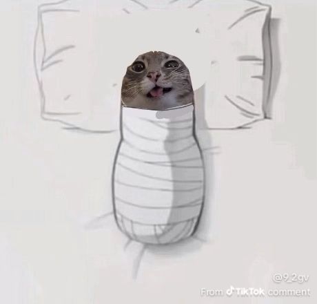 Shelly, without a doubt, has a country girl voice