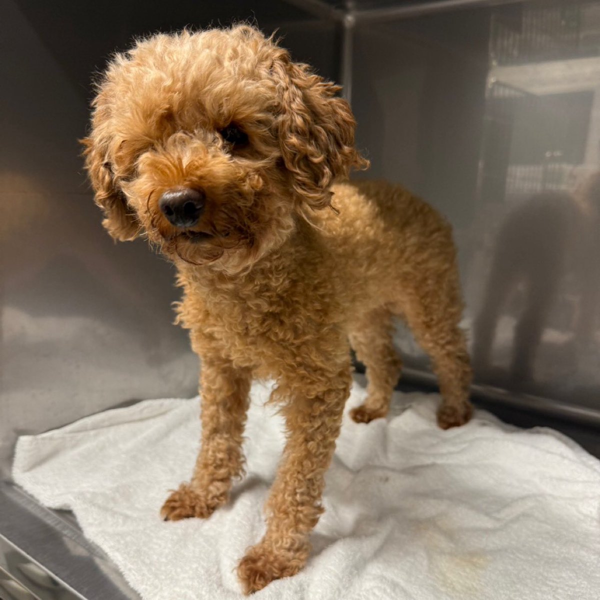 めぐりん (@megrin18) / Posts / X