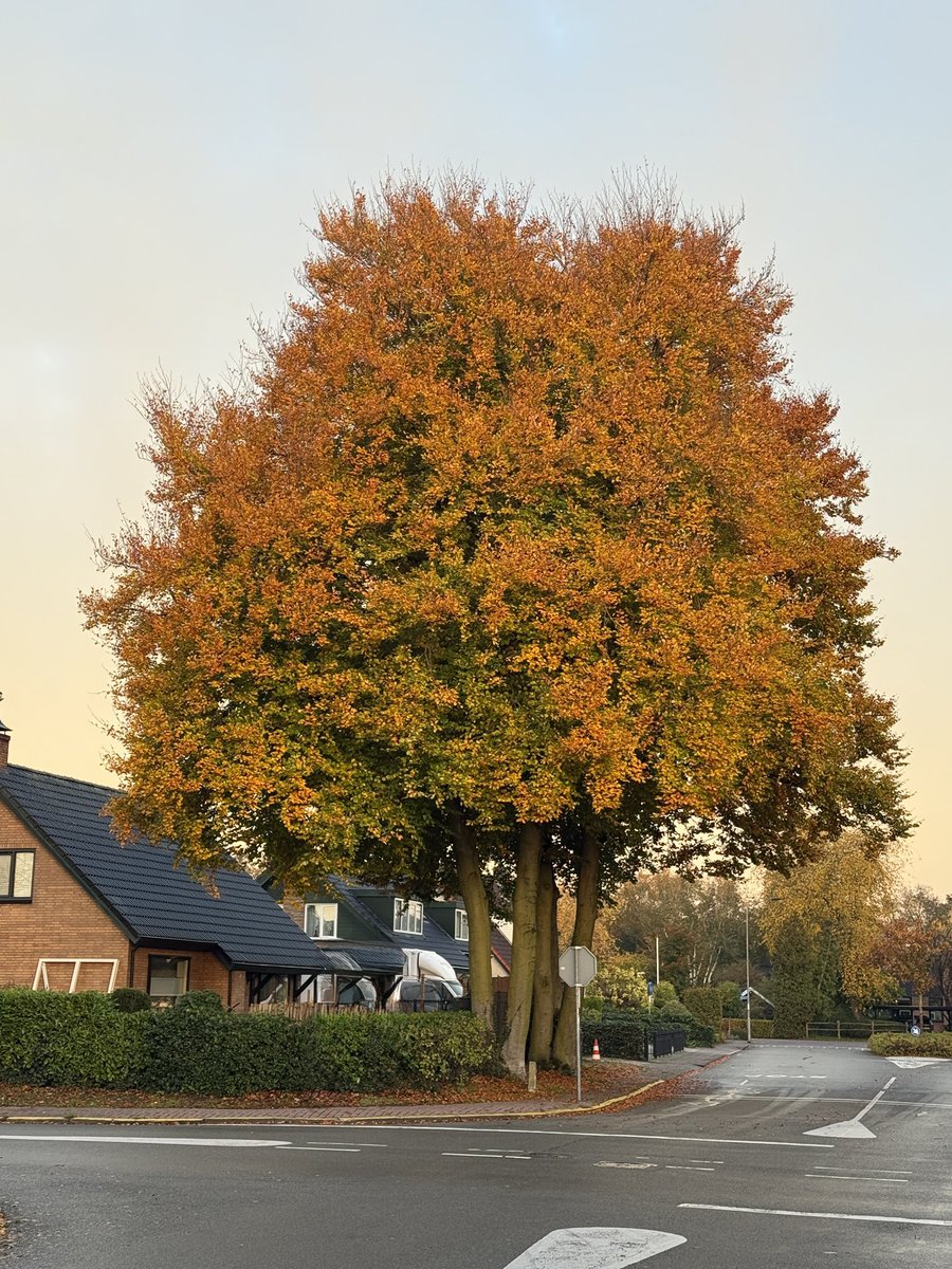 Goedemorgen <a href="/GemeenteErmelo/">Gemeente Ermelo</a>