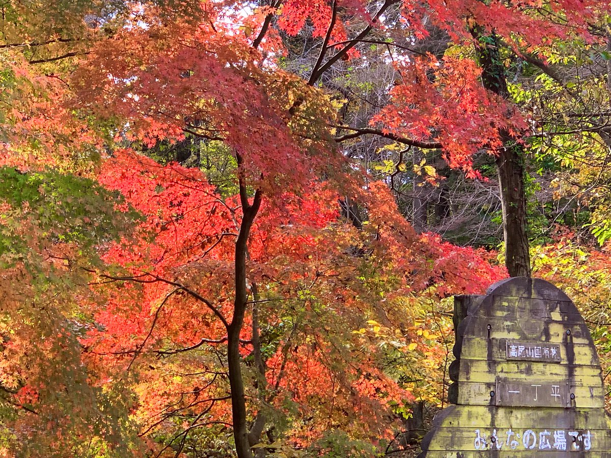 三日月𓏸𓈒꙳☽ on X