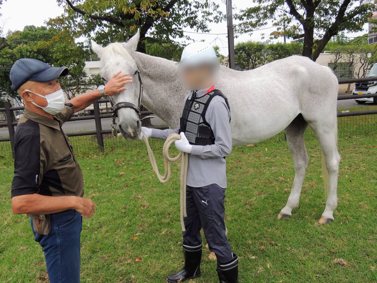 馬の取扱い研修⑦】 曳き馬で馬とのやり取りに慣れてきたら、いよいよ