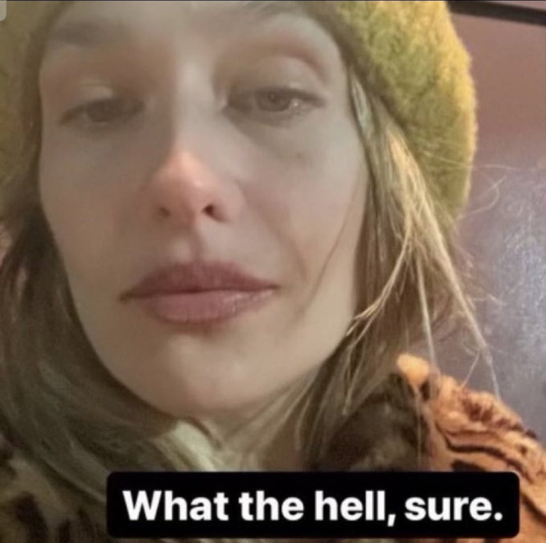 Von Vit Krejci zum Hund gemacht