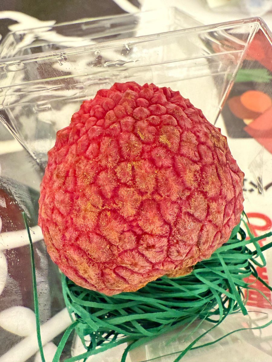 Emiko27489's tweet photo. 「わぁ、このフルーツ見て！見た目が本当に可愛くて、触り心地もぷにぷにしているの。ちょっと不思議な形だけど、食べるのが楽しみ♡ 香りもとっても良いし、甘さがギュッと詰まっていそう。食べたら、きっと癒されるはず！🍓✨」 https://t.co/lFPOSiIGiB