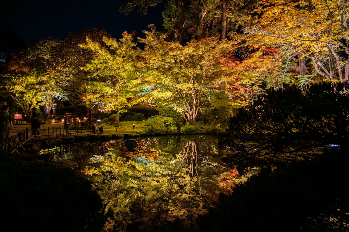 mushiro_nami's tweet image. 円通院ライトアップ

#円通院
#reflection
#ライトアップ