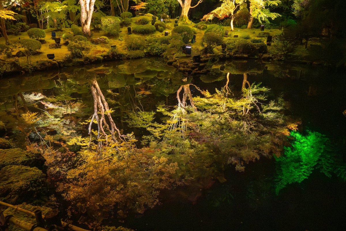 mushiro_nami's tweet image. 円通院ライトアップ

#円通院
#reflection
#ライトアップ